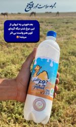 دوغ شتر آسایش یک لیتری - Image 2